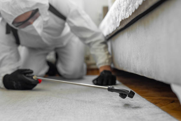 Professional Bed Bug Control technician working in Versailles, IN