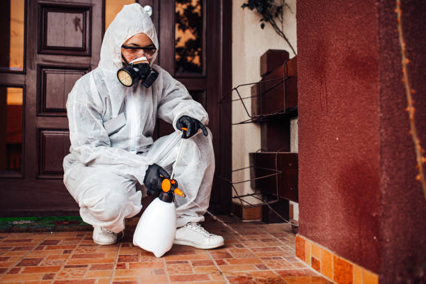 Reliable Bed Bug Control contractor in Versailles, IN by Nex Pest Control
